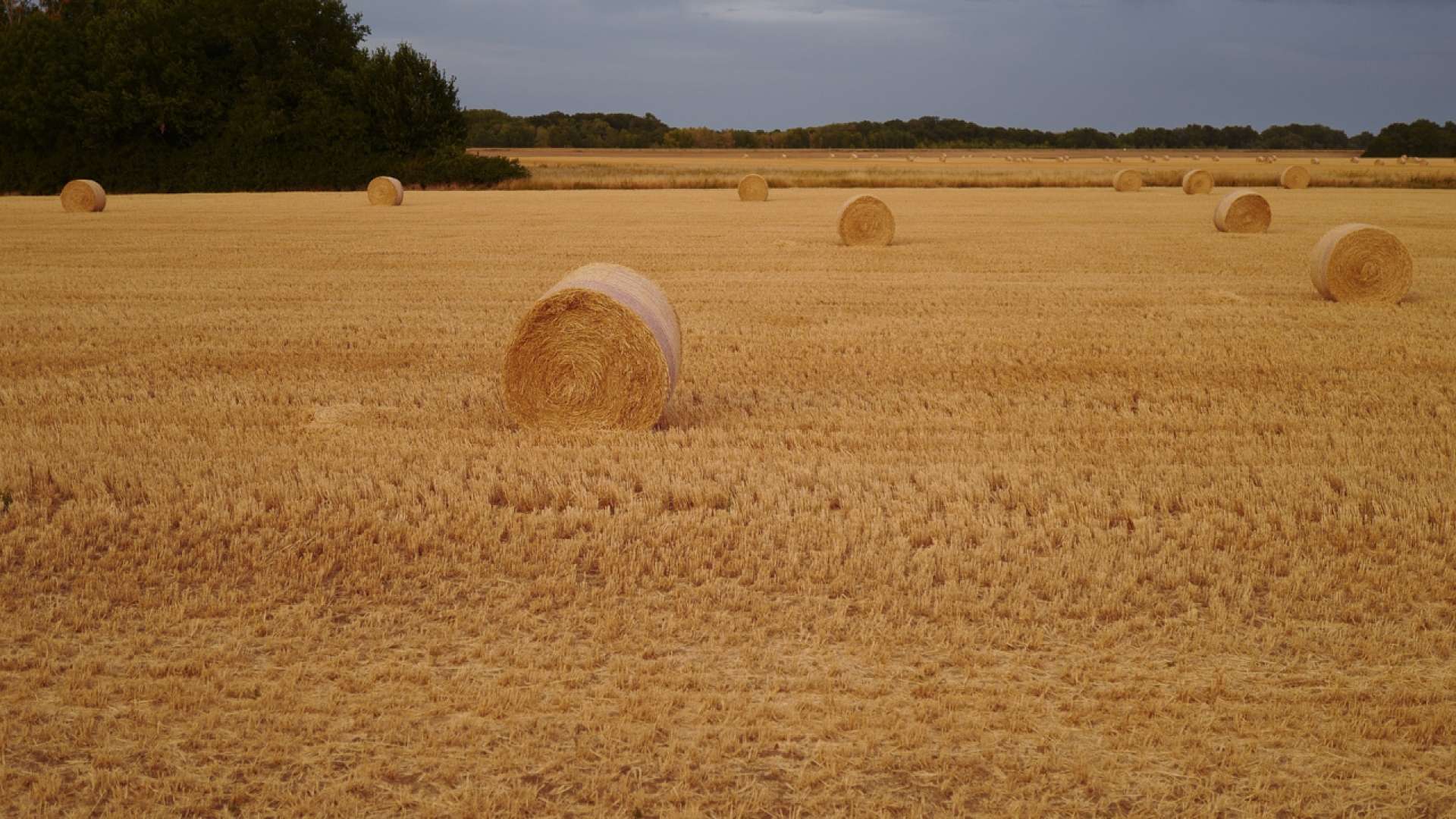 La fabrique des paysages agricoles du Val de Loire | Val de Loire patrimoine mondial