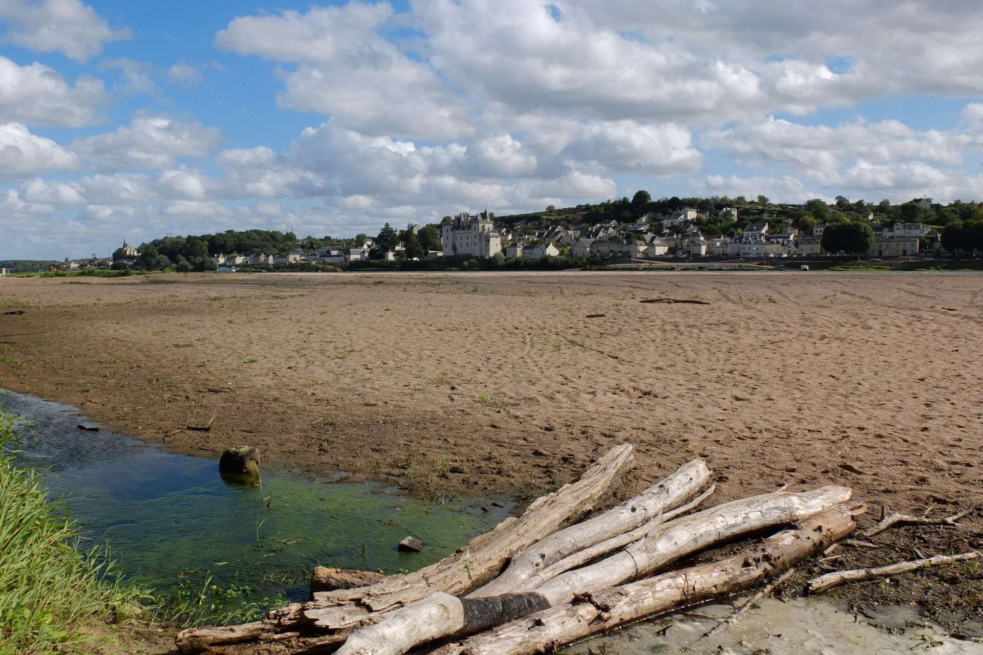 Photo de paysage avec vue sur le village et le château de Montsoreau, prise depuis la rive opposée. Au premier plan, des branches de bois mort et des bancs de sables témoignent d'une Loire asséchée.