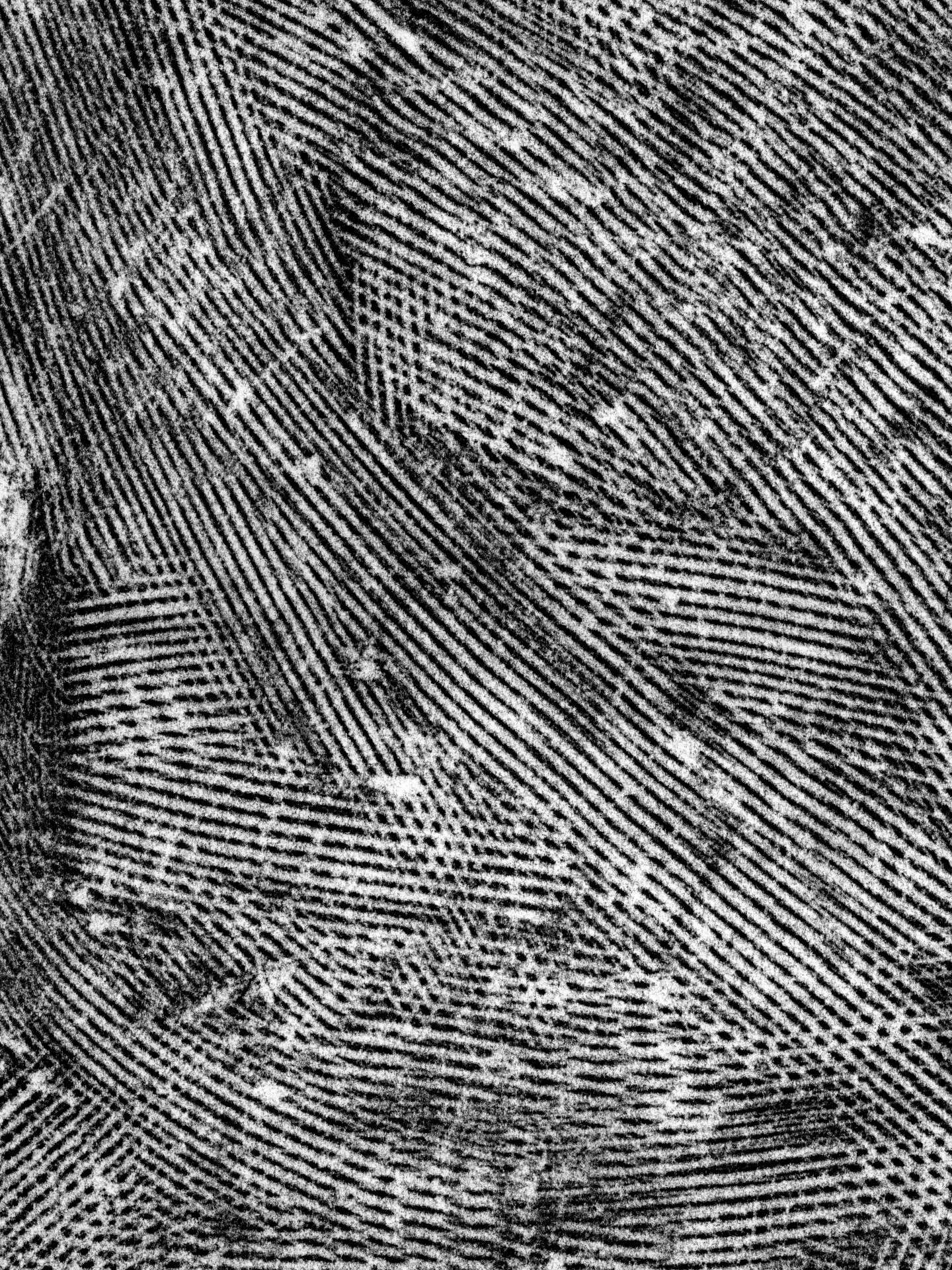 Scan noir et blanc de traces parallèles faites lors de la taille d'un bloc de tuffeau.