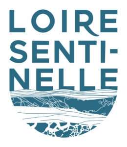 Loire sentinelle - Logo bleu